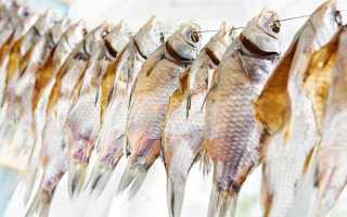 Аллергия на рыбу: может ли быть реакция на морепродукты, фото
